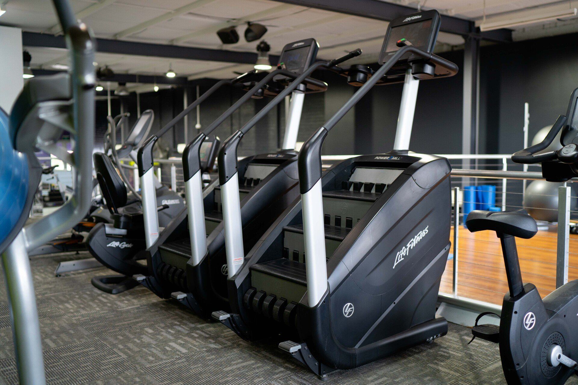 Carpet Tiles Gym Mt Waverley