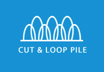 Cut and Loop Pile Carpet