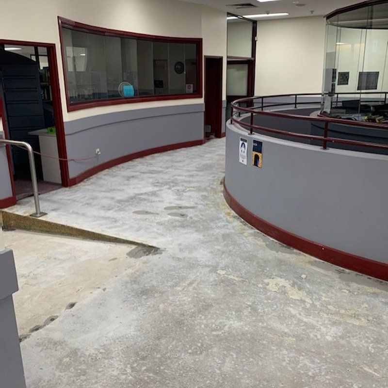 Floor Prep Oakleigh Grammar