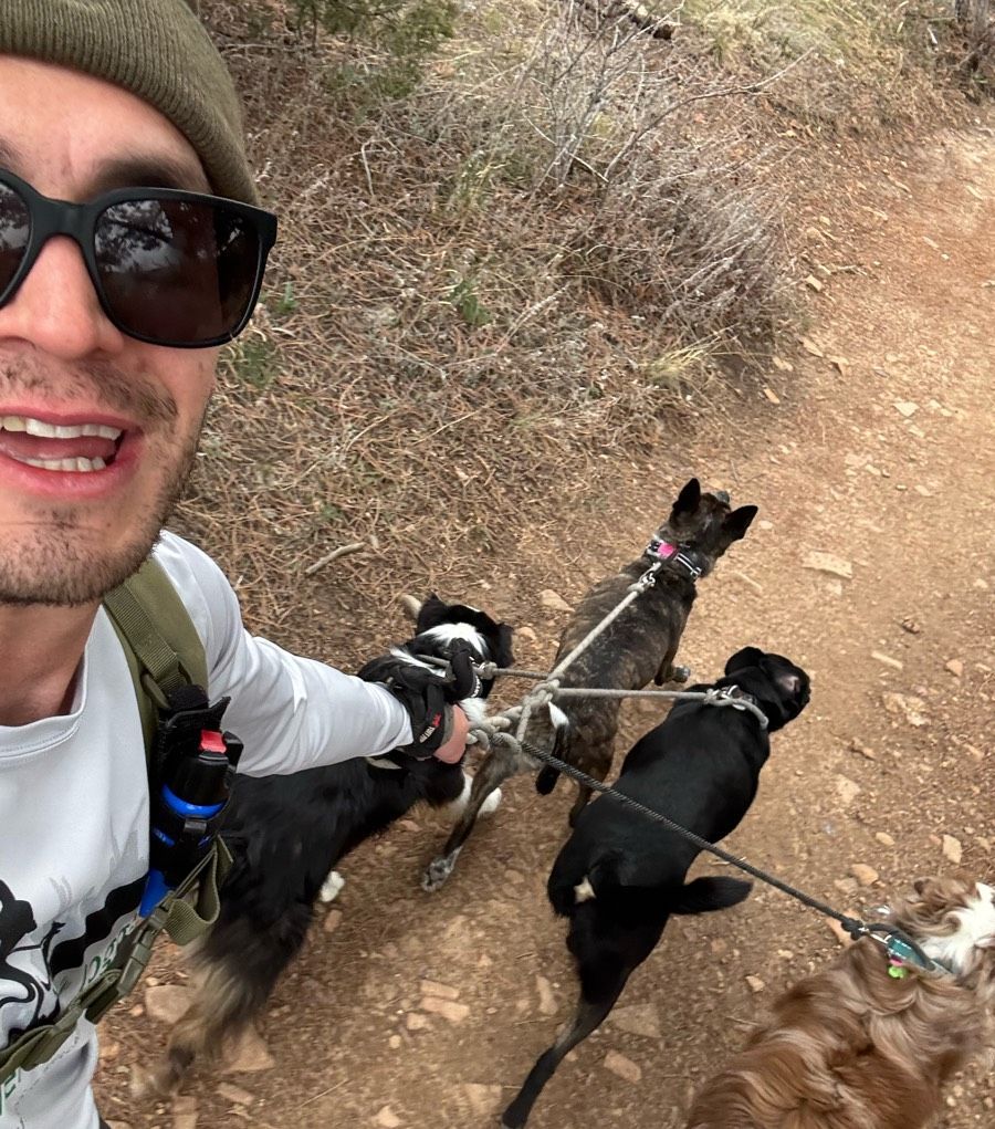 Alex H taking a selfie with a group of dogs.