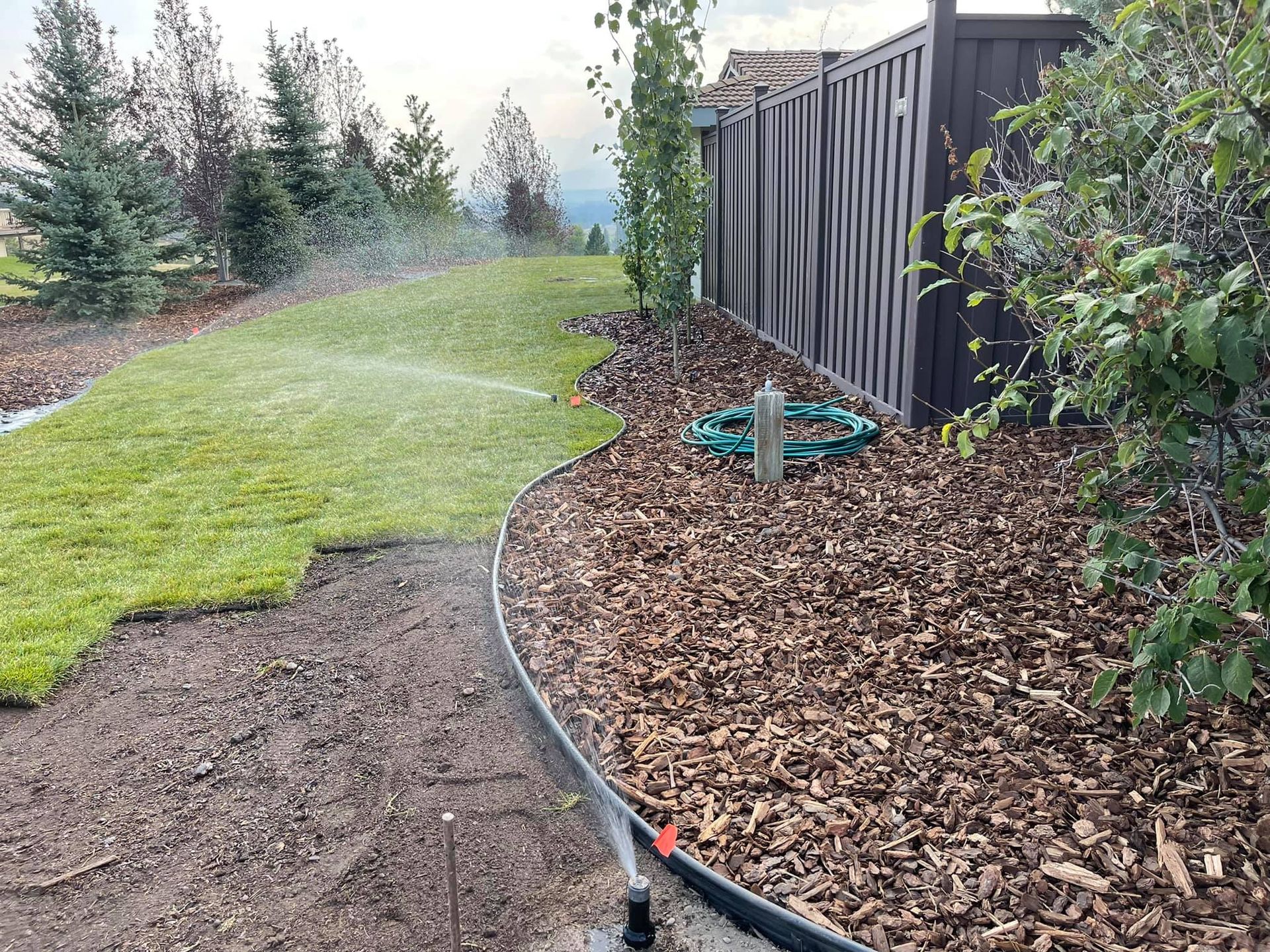 Lawn sprinkler watering grass in a backyard. Mulch border along a brown fence.