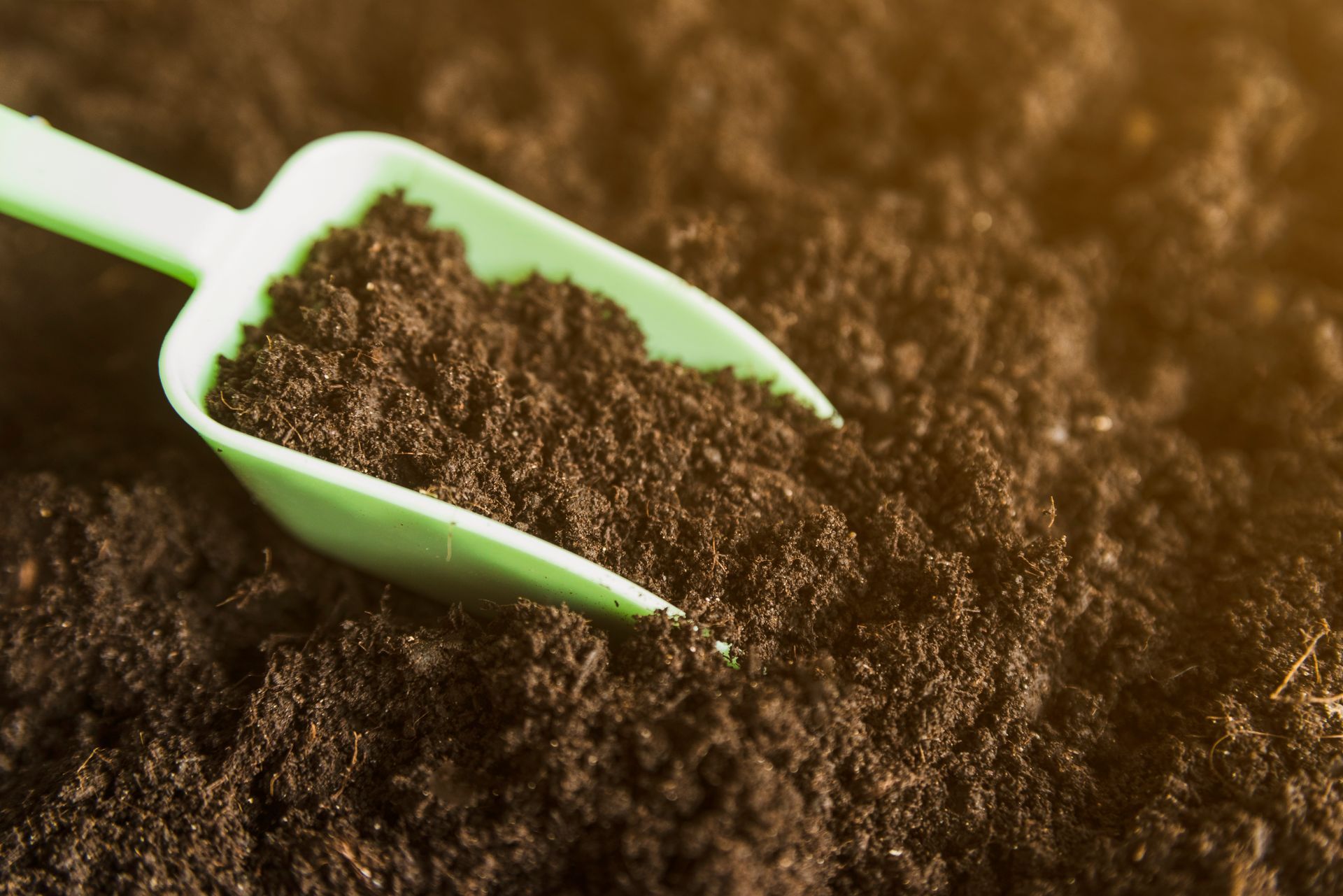 Green scoop filled with dark soil on a brown background