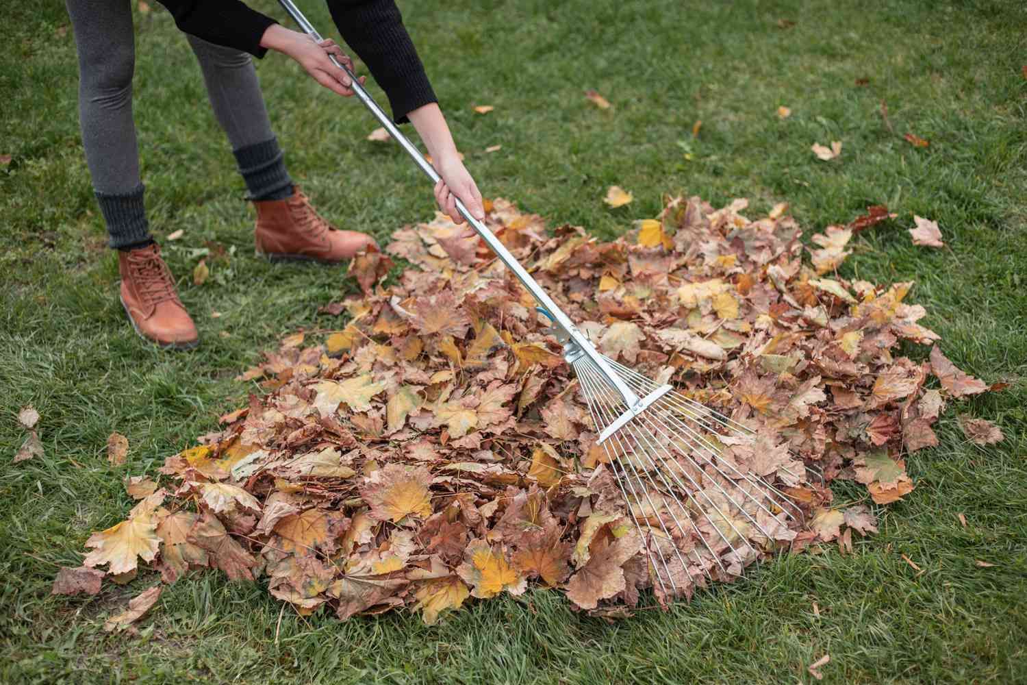 Woman Raking Dried Leaves