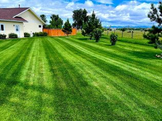 Lawn with alternating stripes of light and dark green in front of a house, under a blue sky.