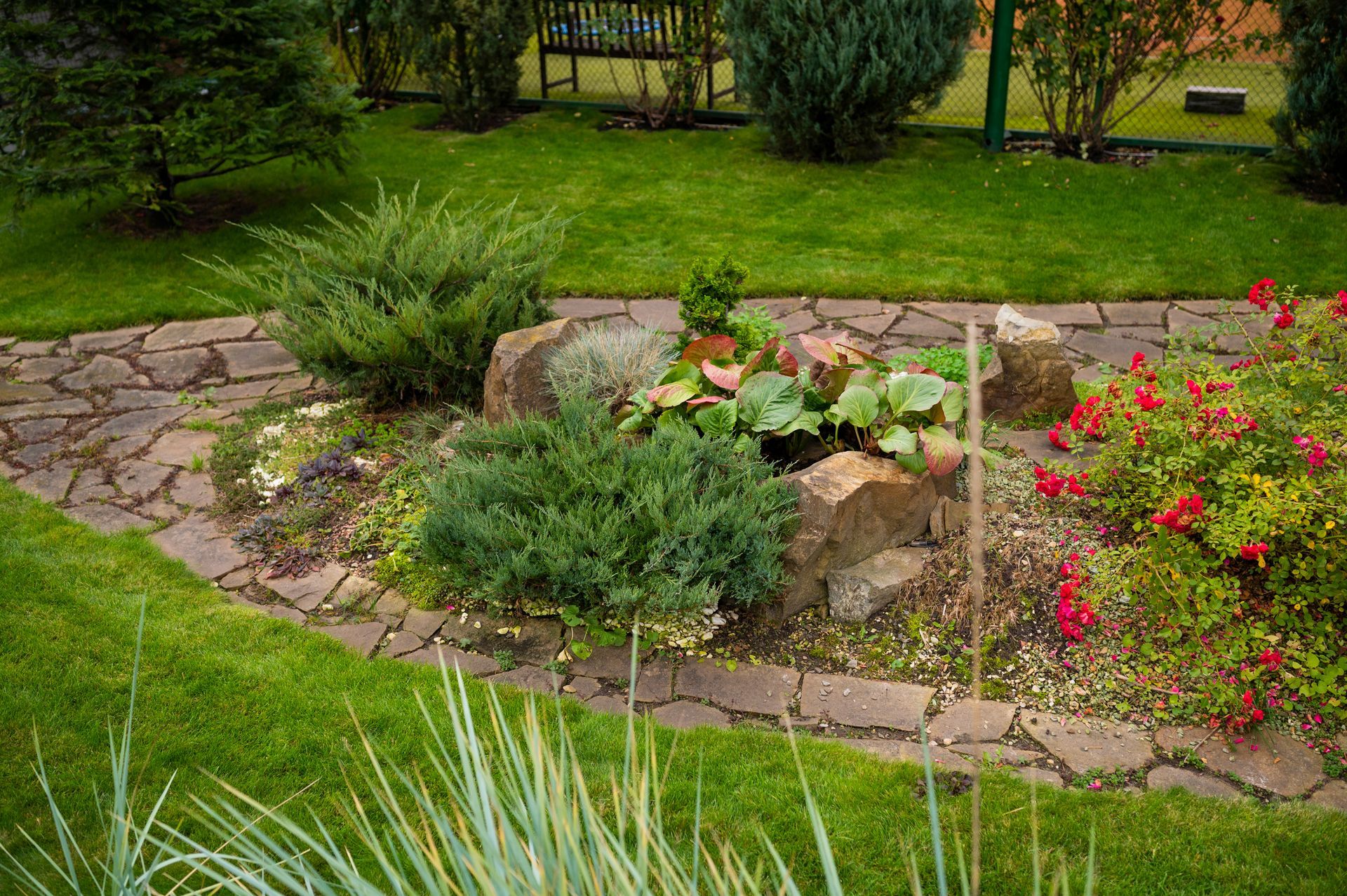 Stone path with garden plants