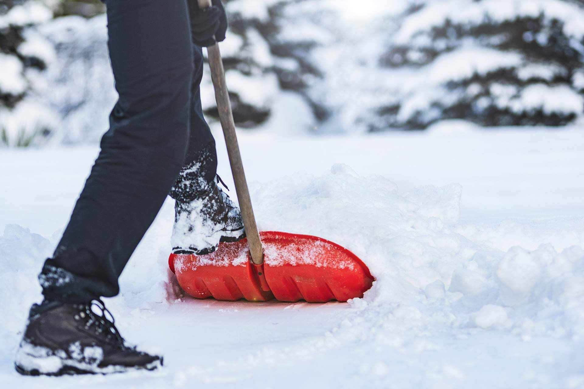 Person shoveling snow with red shovel on a snowy path.