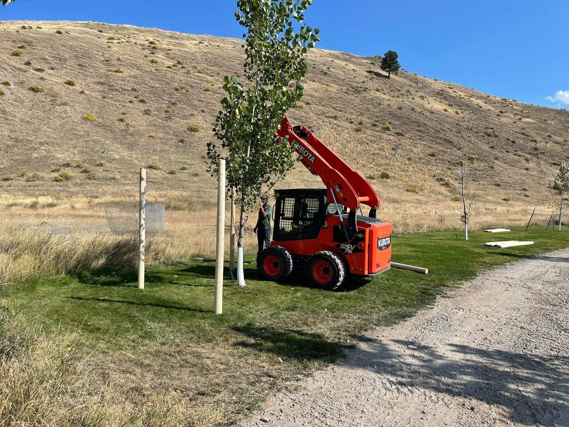 Lawn sprinkler watering grass in a backyard. Mulch border along a brown fence.