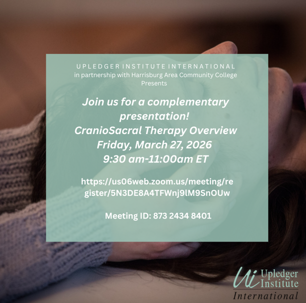 Cranio Sacral Therapy Overview