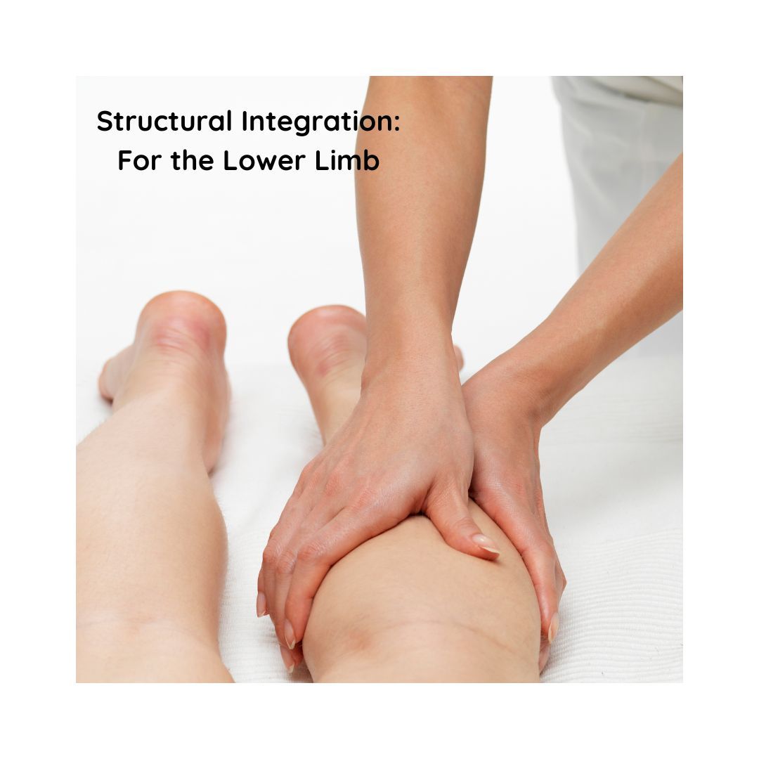 Medical Massage: Structural Integration for the Lower Limb
