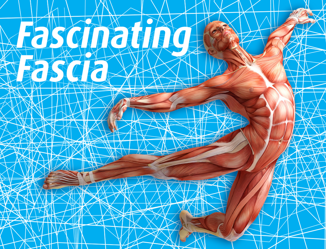 Fascia, Chronic Pain, and Massage