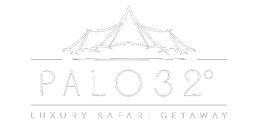 Palo 32° Luxury Safari Getaway logo