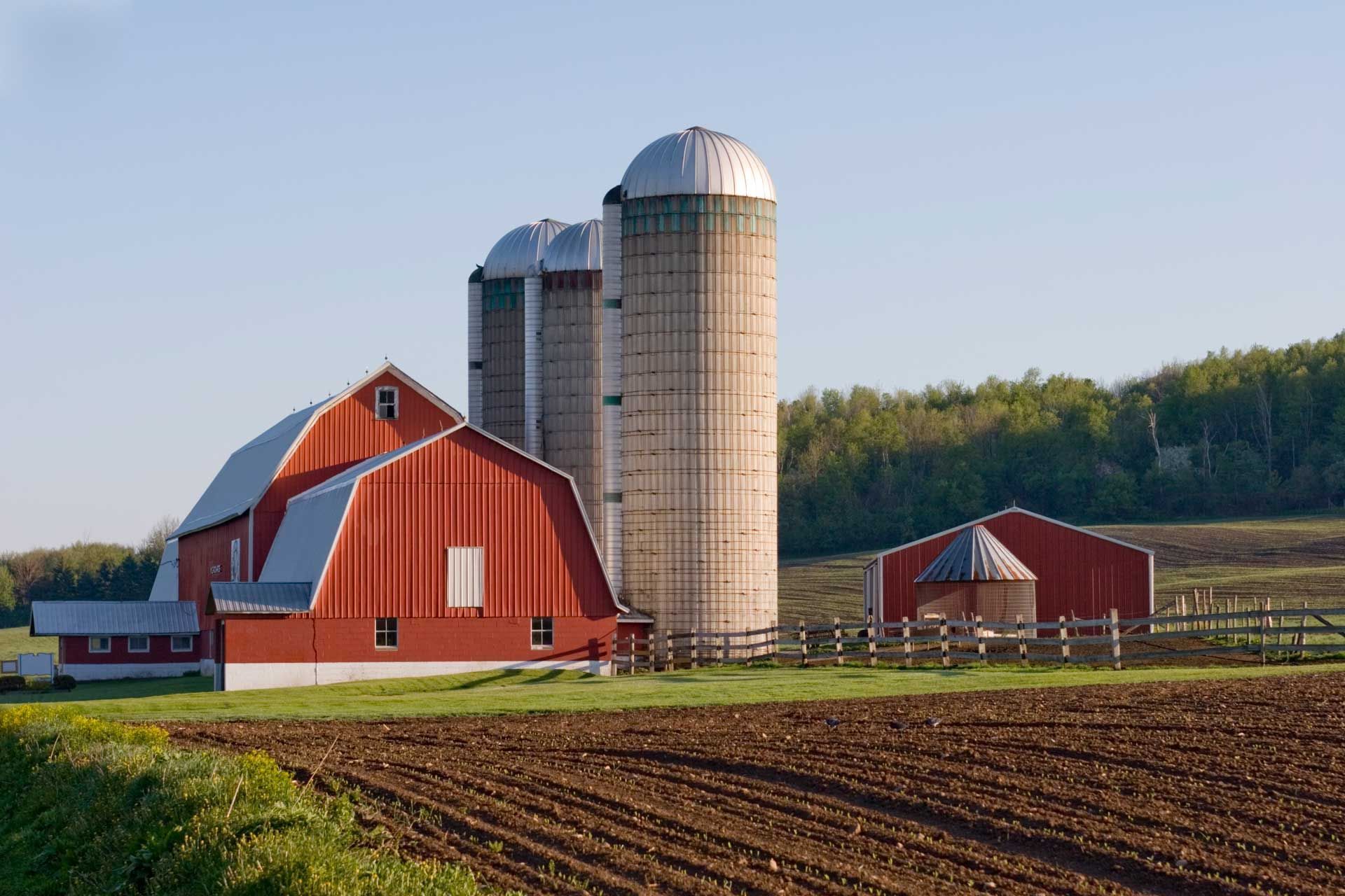 Red barn and silos on a farm, set in a field. Green trees and a clear blue sky.