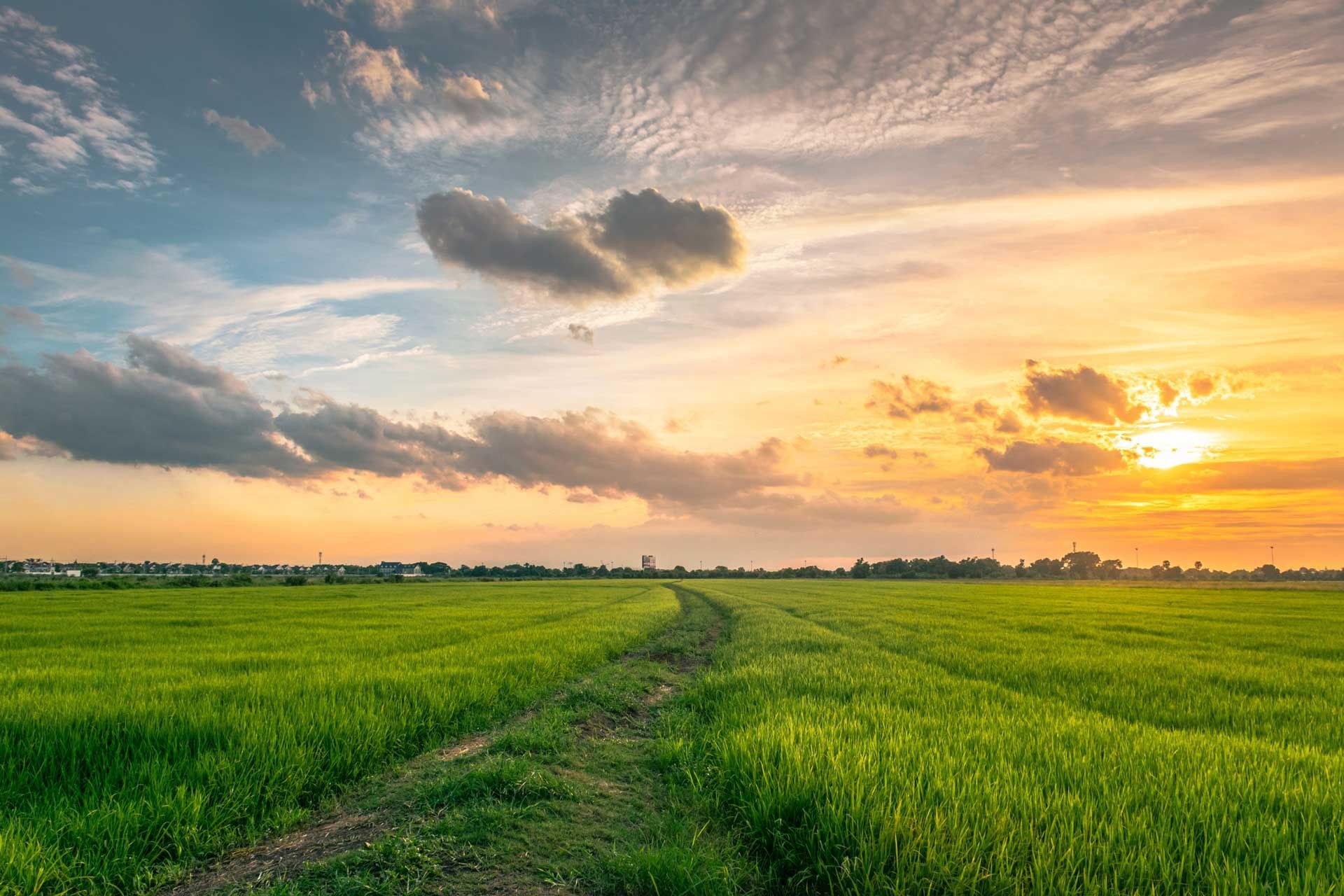 Green field with a dirt path leading towards a sunset with clouds and a colorful sky.