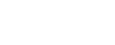 Auto Shop Digital logo