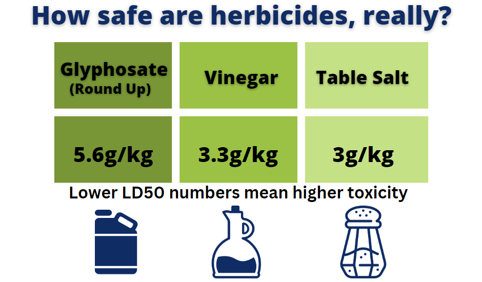 How SAFE are Herbicides?