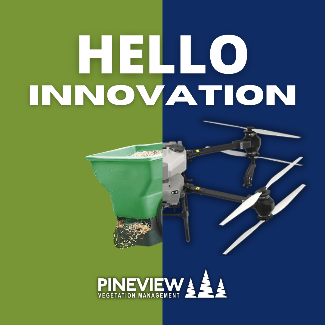 Hello Innovation! Drone Veg Services 🌱