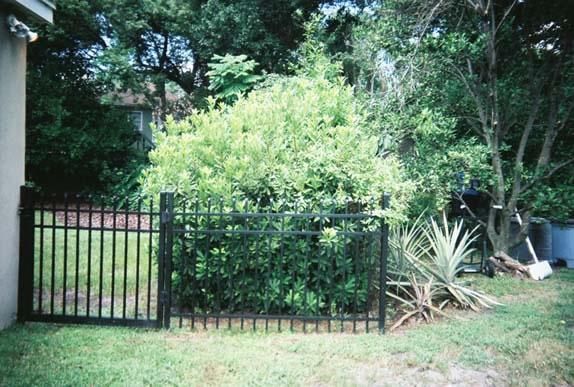 black iron fence 