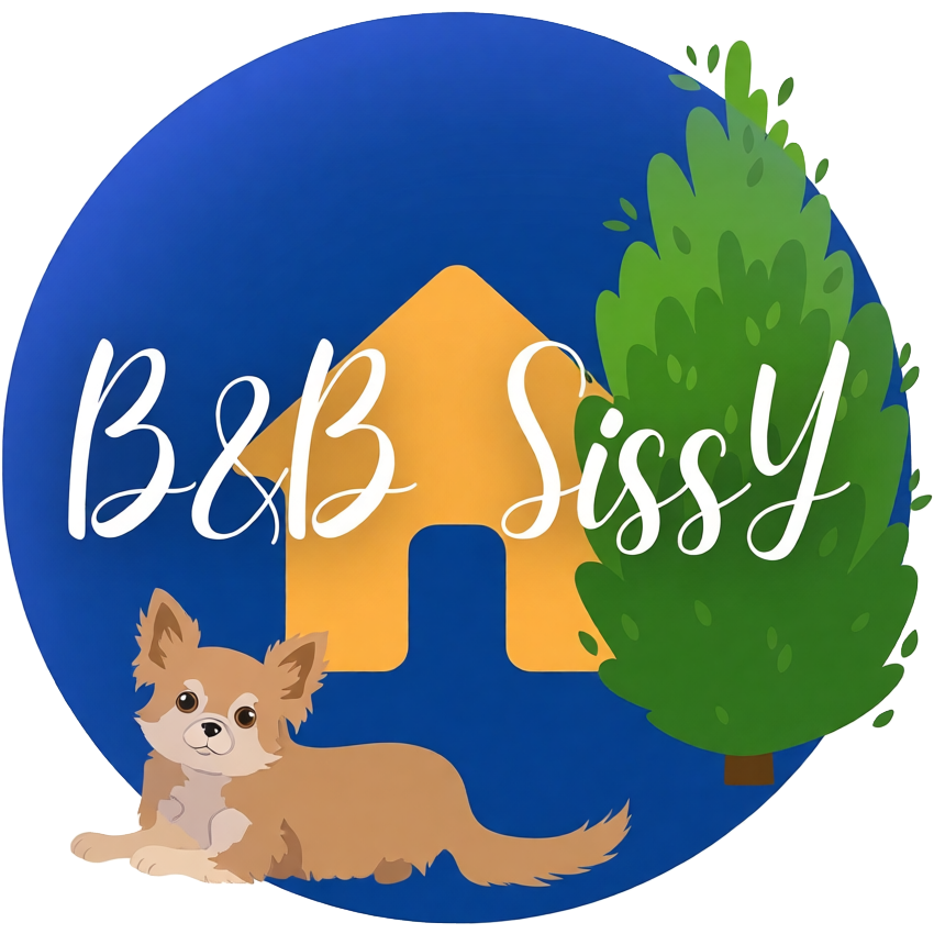 Logo: cerchio blu con la scritta "B & B Sissy", una casa gialla, un albero verde e un chihuahua marrone chiaro.
