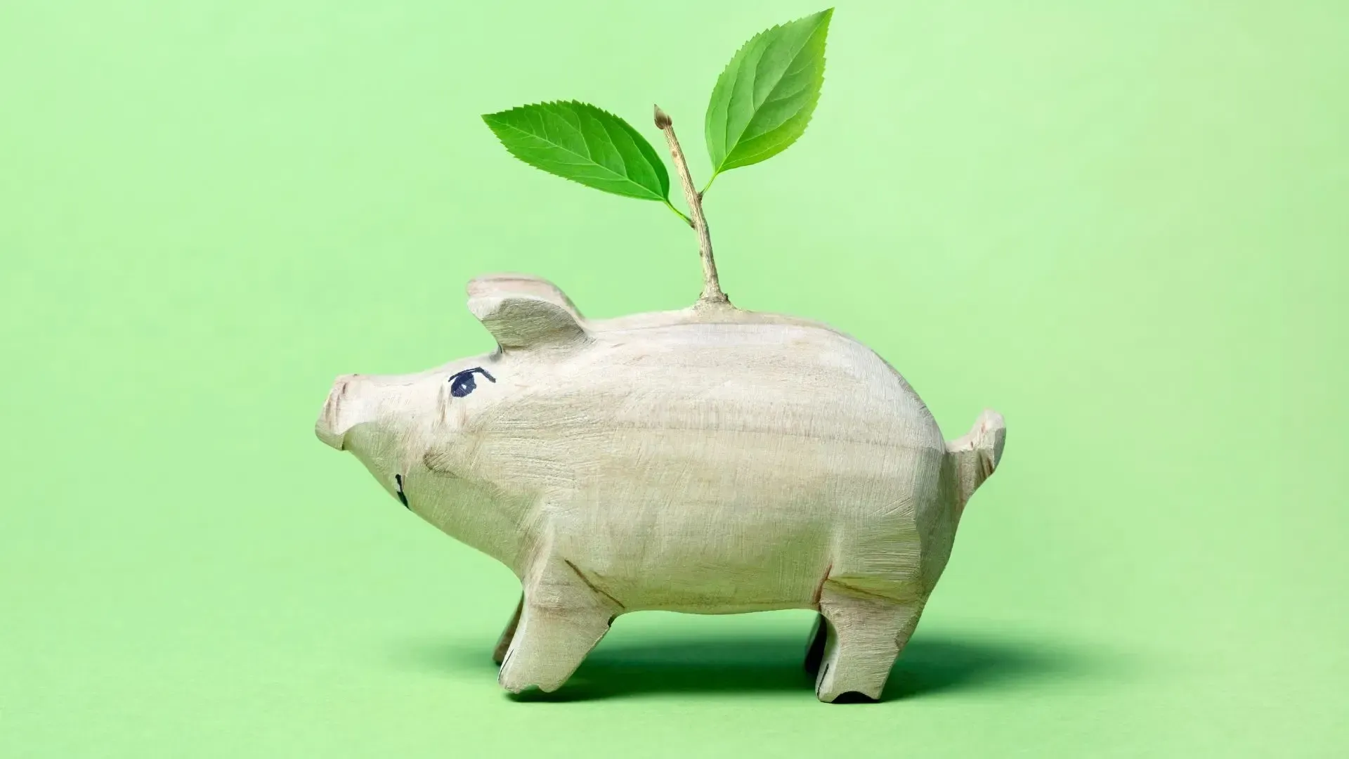 A wooden piggy bank with a plant growing out of it.