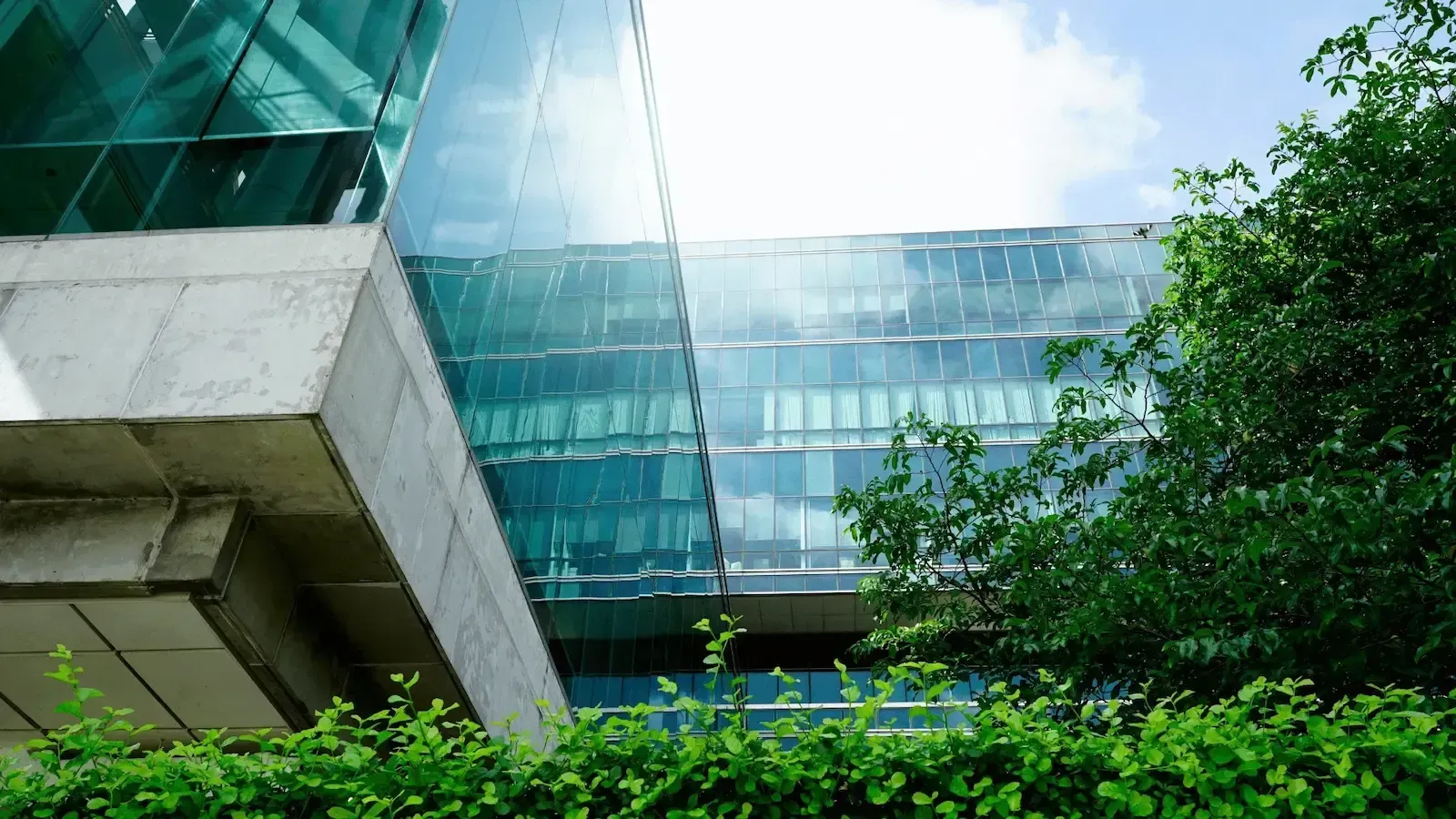 A large building with a lot of windows and trees in front of it.