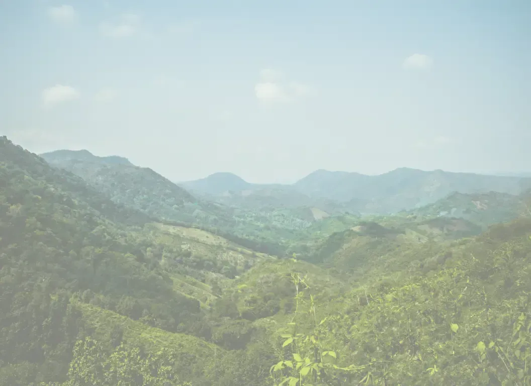 A view of a lush green valley surrounded by mountains on a sunny day.