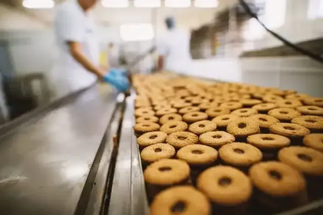 a conveyor belt filled with doughnuts in a bakery .
