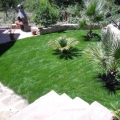 area verde con prato su scale e piante decorative