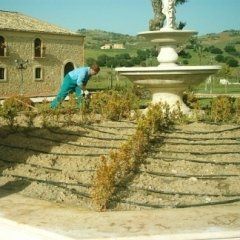 progettazione e manutenzione verde in villa