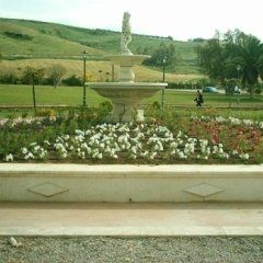 realizzazione verde in villa