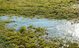 island-coast-landscapes-inc-drainage-erosion-solutions