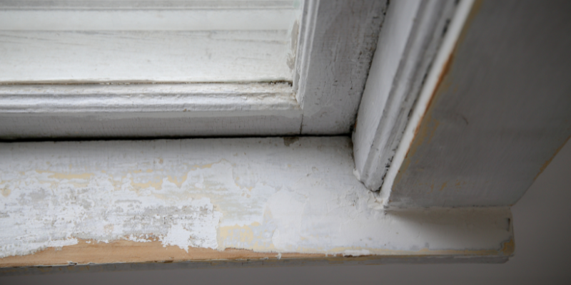 Window Replacement Franklin TN