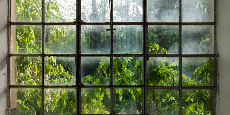 Window Replacement Franklin TN
