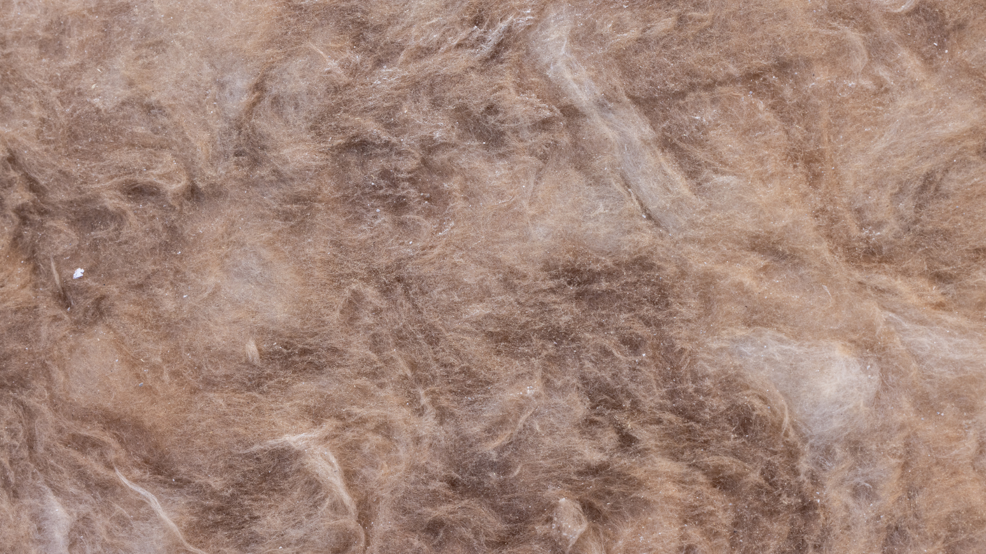 A close up of a piece of damaged insulation
