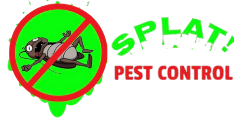 splat pest control 