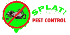 splat pest control 