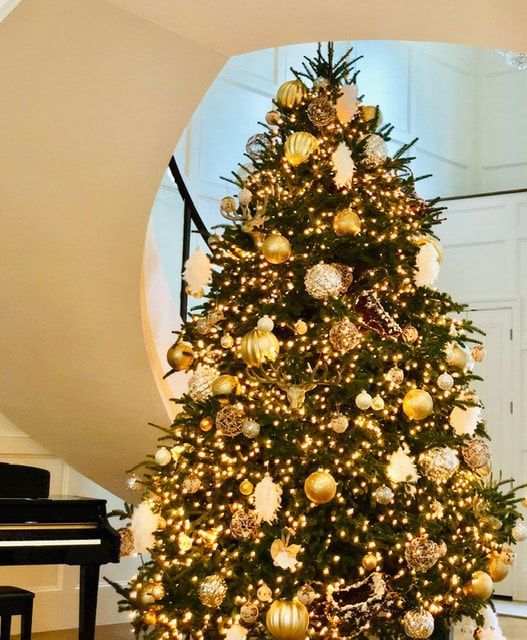 A large christmas tree is in front of a piano