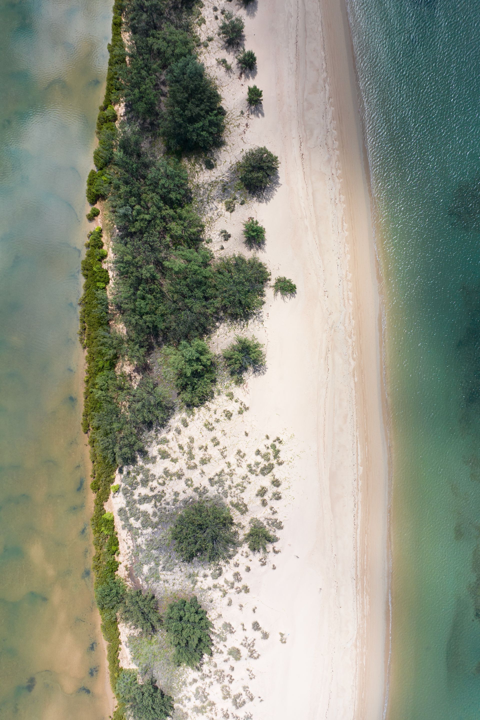 An aerial view of a beach surrounded by water and trees.