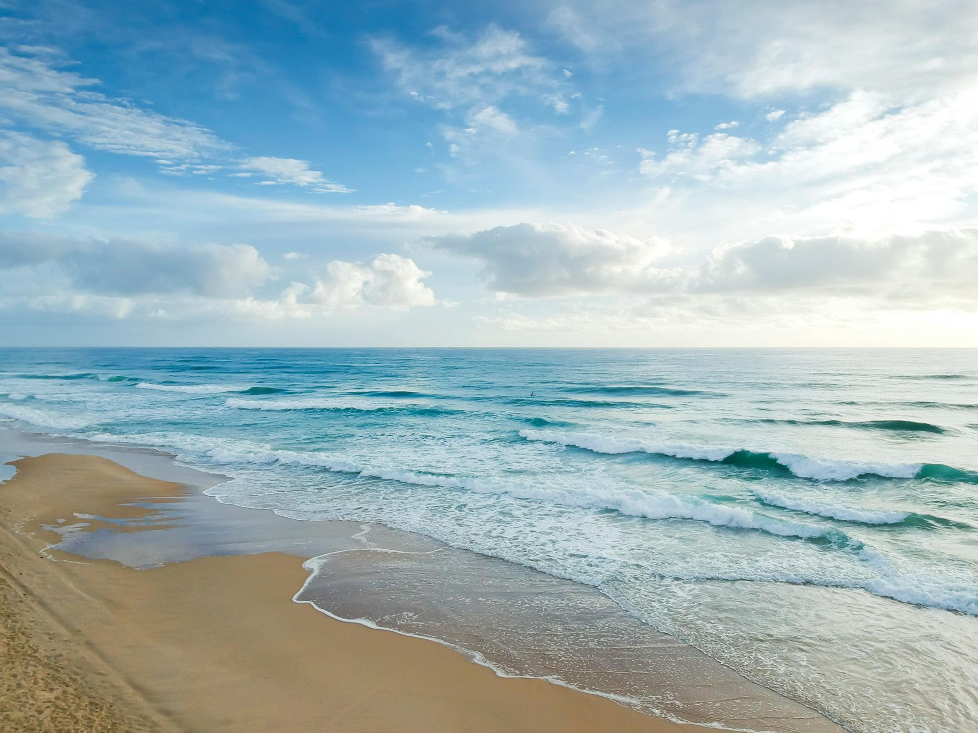 Handyman - Cleaning - Lawn Care - Strata - Commercial - Residential - Central Coast