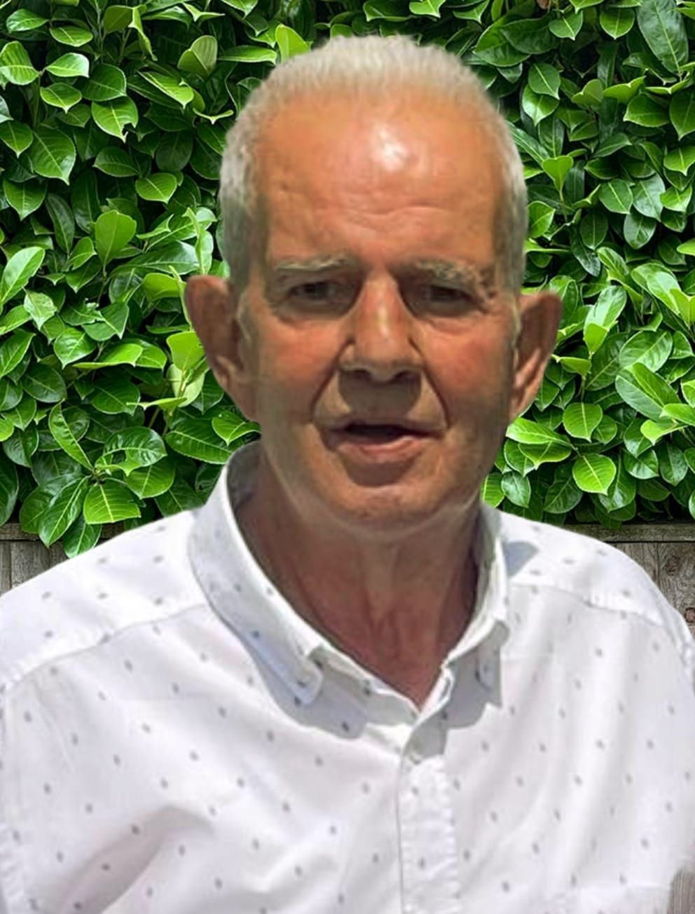 necrologio Enrico Tinti