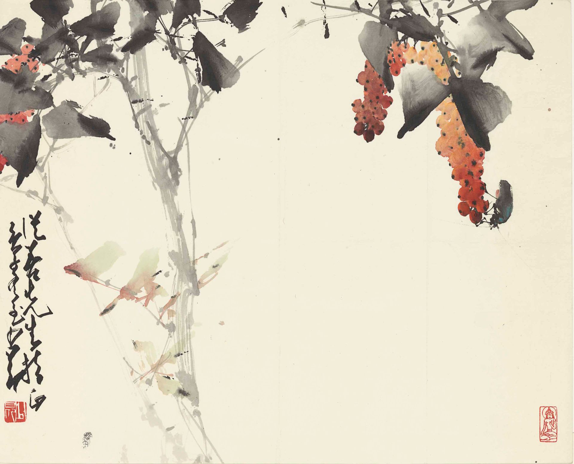 Cicada Nibbling on Grapes