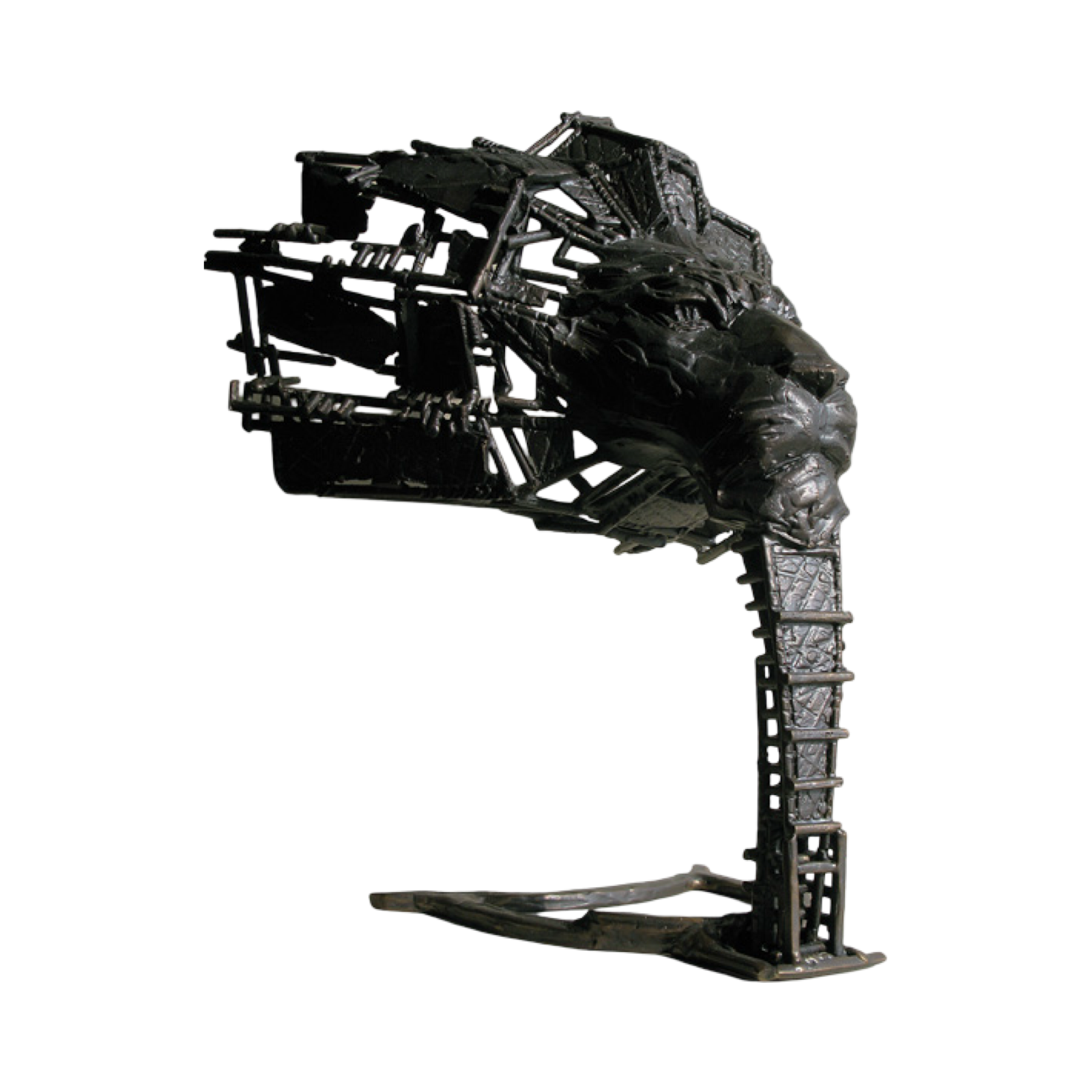 Looking Through Time