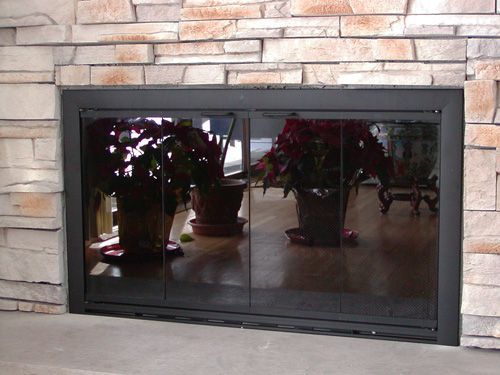 A fireplace with potted plants in front of it