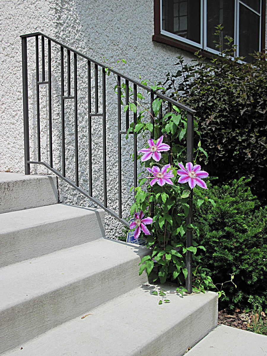 Concrete steps with black metal railing and clematis flowers blooming.