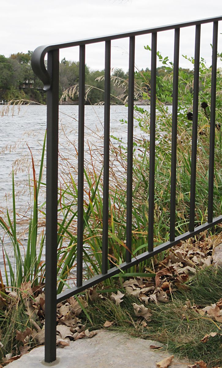Dark metal railing by a lake, with tall grass and foliage in the background.