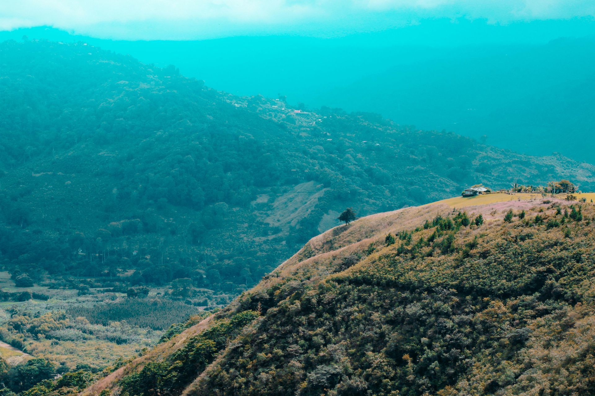 Hilly landscape with lush green trees and a distant structure under a teal sky.