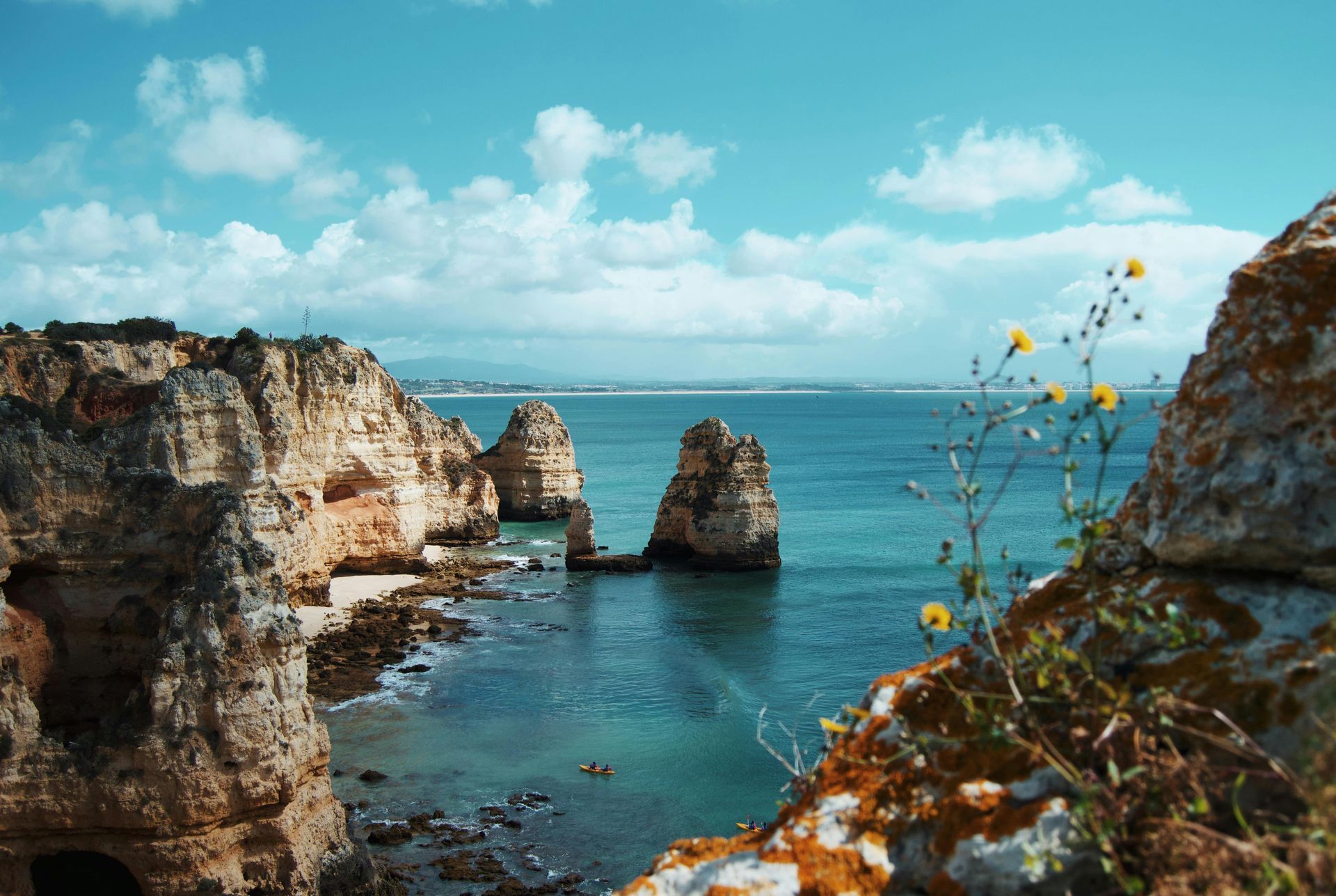 Cliffs and rock formations by the turquoise sea under a blue sky; flowers in the foreground.