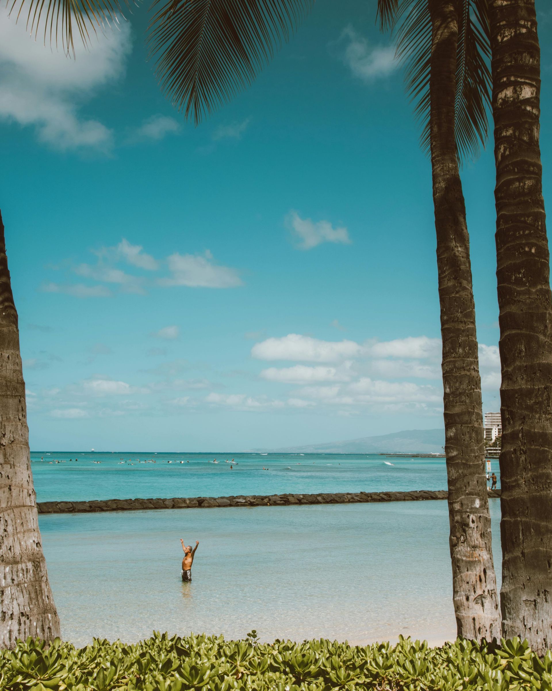 Ocean view framed by palm trees; person in the water, blue sky with clouds.