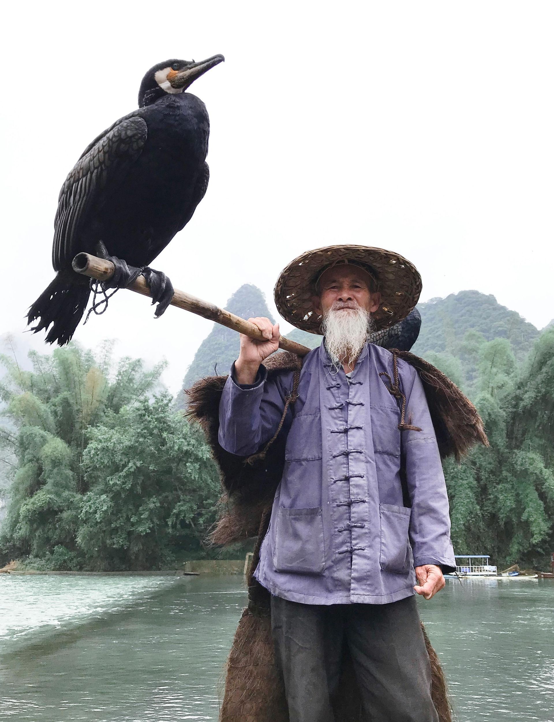 Fisherman with a cormorant bird perched on a pole. They're on a boat, with a mountainous backdrop.