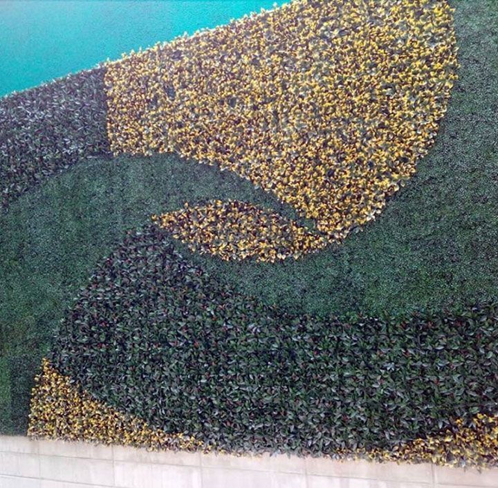 ACEROS Y ALAMBRADOS DE ORIENTE SA DE CV