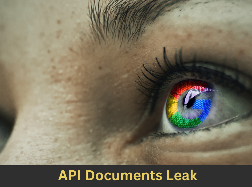 API Document Leak 